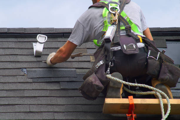 Best Roof Ventilation Installation  in Lake Orion, MI